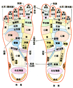 玉美堂 草履のすすめ 玉美堂 草履のすすめ